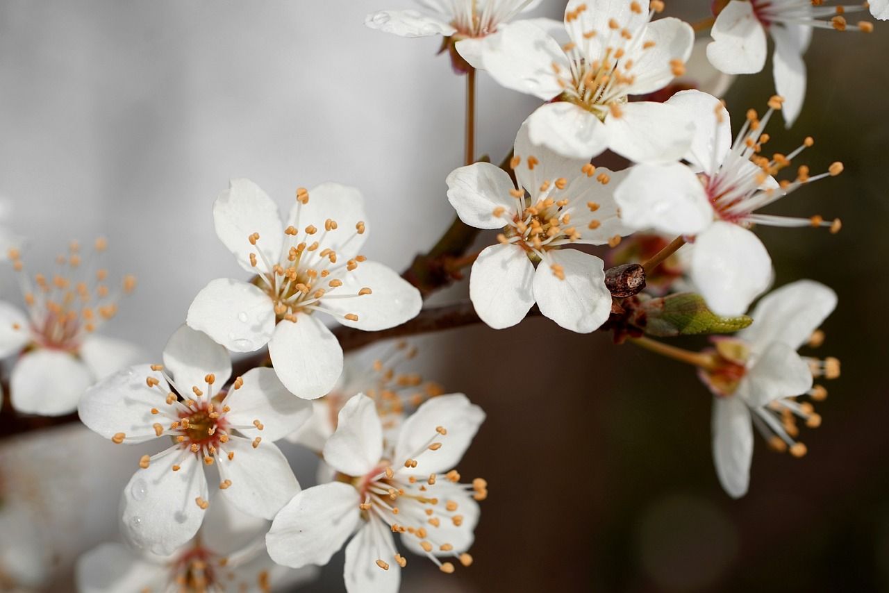 frühe kindheitsentwicklung umfasst entscheidende phasen des wachstums und der bildung, in denen kinder wichtige fähigkeiten erlernen. entdecken sie, wie die frühe förderung die kognitive, soziale und emotionale entwicklung unterstützt und das fundament für eine erfolgreiche zukunft legt.