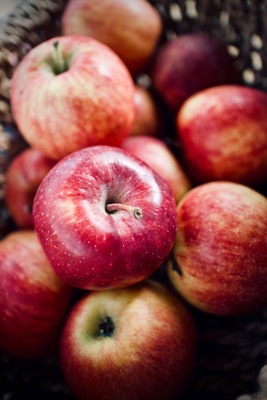entdecken sie die grundlagen der ernährung und erfahren sie, wie eine ausgewogene ernährung ihre gesundheit und ihr wohlbefinden fördern kann. tipps, rezepte und aktuelle trends für eine bewusste ernährung.