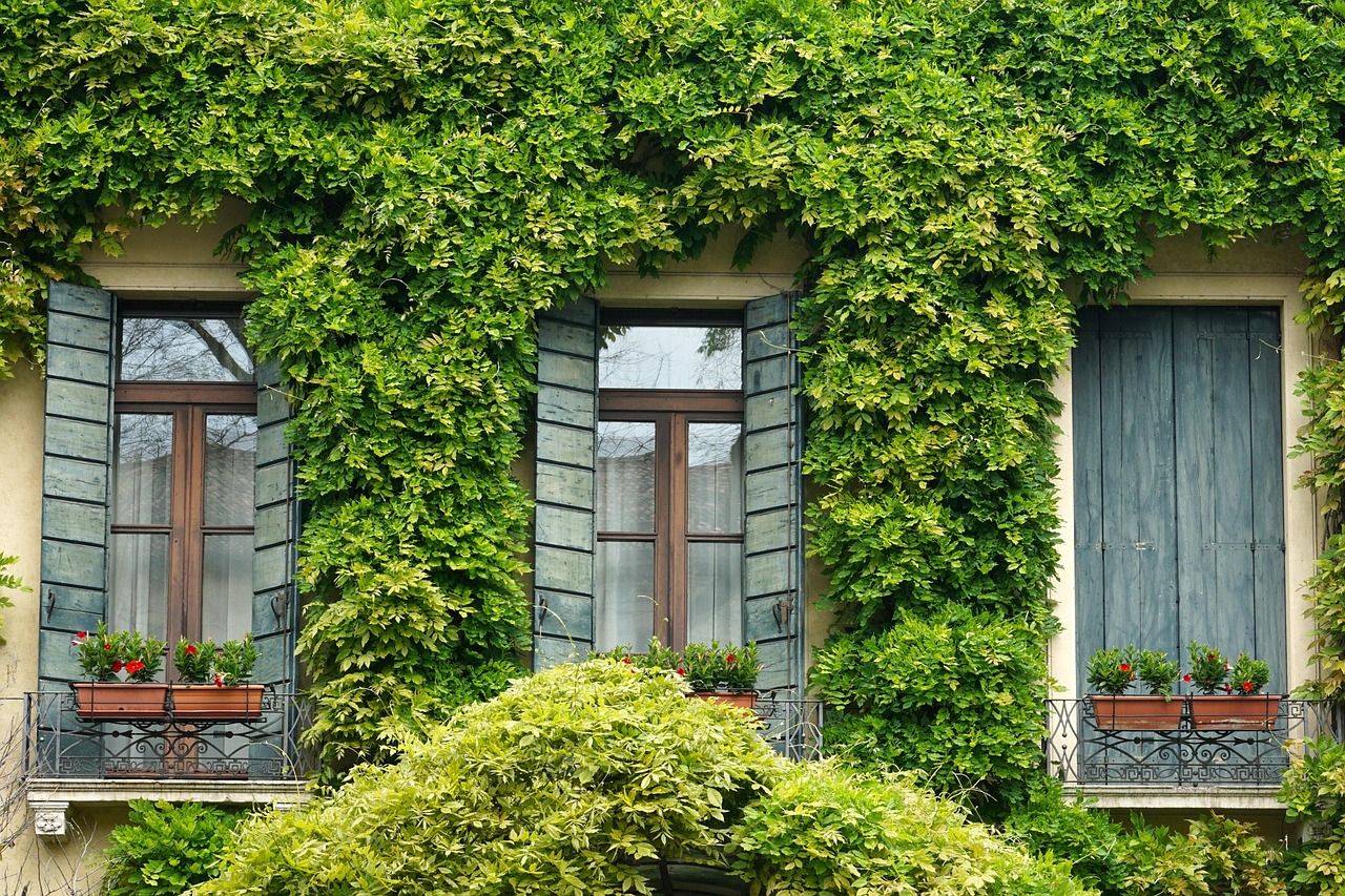 entdecken sie kreative lösungen zur home-organisation! optimieren sie ihren wohnraum mit unseren tipps und tricks für eine aufgeräumte und funktionale umgebung.