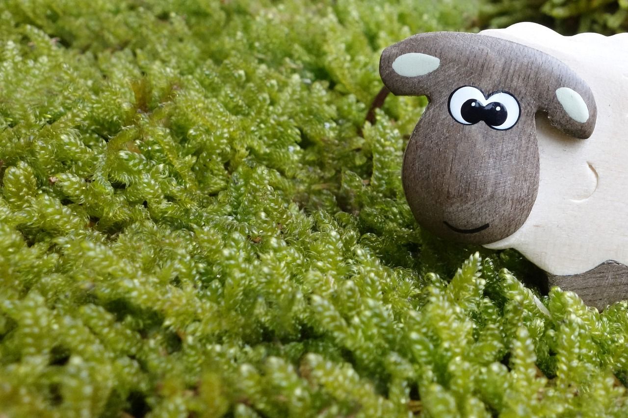 entdecken sie eine welt voller spielzeug! von klassischen puppen bis hin zu innovativen lernspielzeugen bieten wir eine große auswahl für kinder jeden alters. finden sie das perfekte geschenk für kleine entdecker und fördern sie ihre kreativität und fantasie.