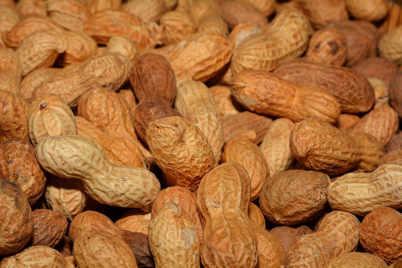entdecken sie gesunde snacks, die sowohl lecker als auch nährstoffreich sind. perfekt für jede gelegenheit, ob als schneller energieschub oder als gesunde alternative zu traditionellen snacks. genießen sie eine vielzahl von optionen, die ihren gaumen erfreuen und ihr wohlbefinden fördern!