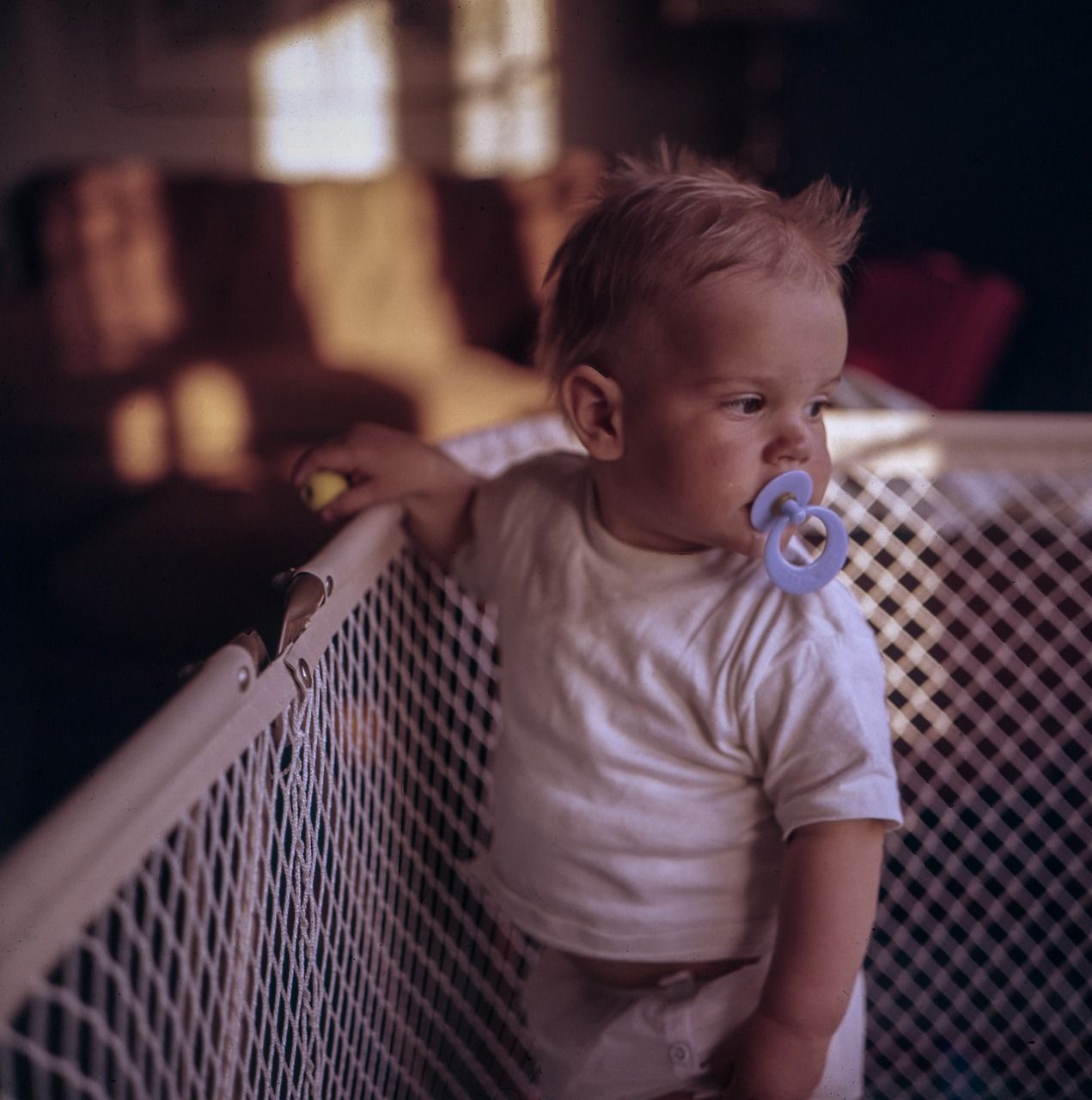 entdecken sie die besten beruhigungssauger für ihr baby. optimale sicherheit und komfort für eine entspannte schlafumgebung. erfahren sie mehr über die vorteile und tipps zur auswahl des richtigen schnullers.