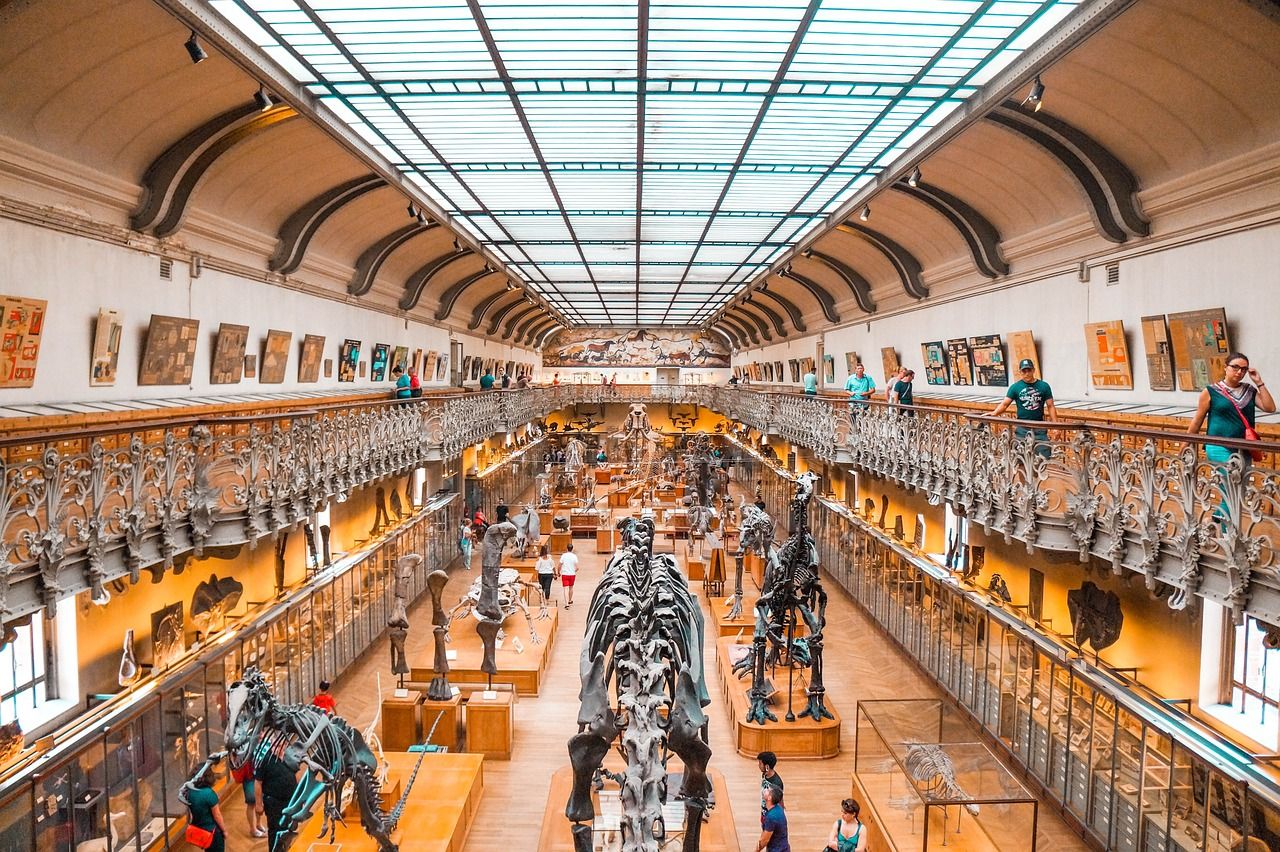entdecken sie innovative bildungsansätze, die das lernen fördern und die entwicklung von fähigkeiten unterstützen. erfahren sie, wie verschiedene pädagogische methoden eingesetzt werden, um effektive lernumgebungen zu schaffen und das potenzial von schülern zu maximieren.