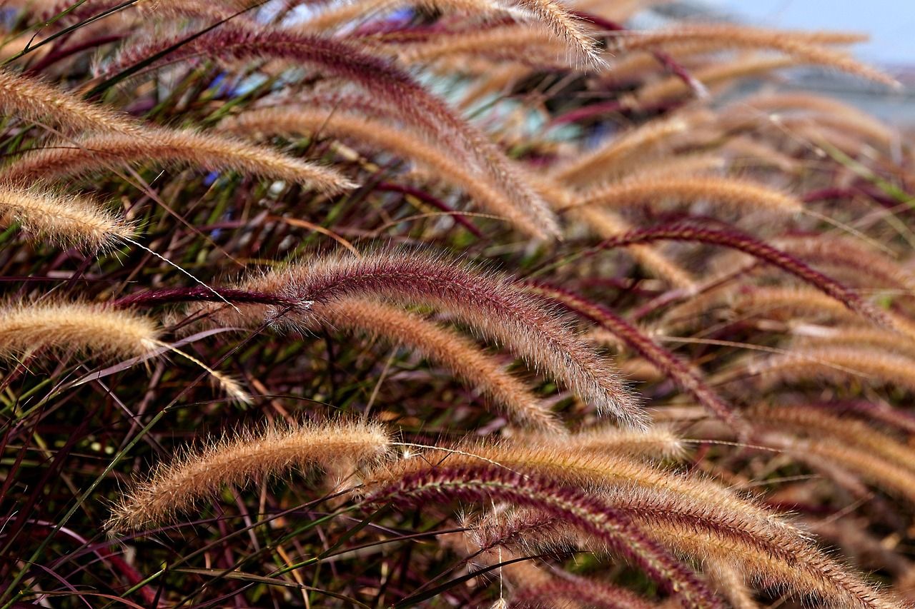 entdecken sie umweltfreundliche lagerlösungen, die nachhaltigkeit und funktionalität vereinen. schützen sie die umwelt, während sie ihren raum optimal nutzen.