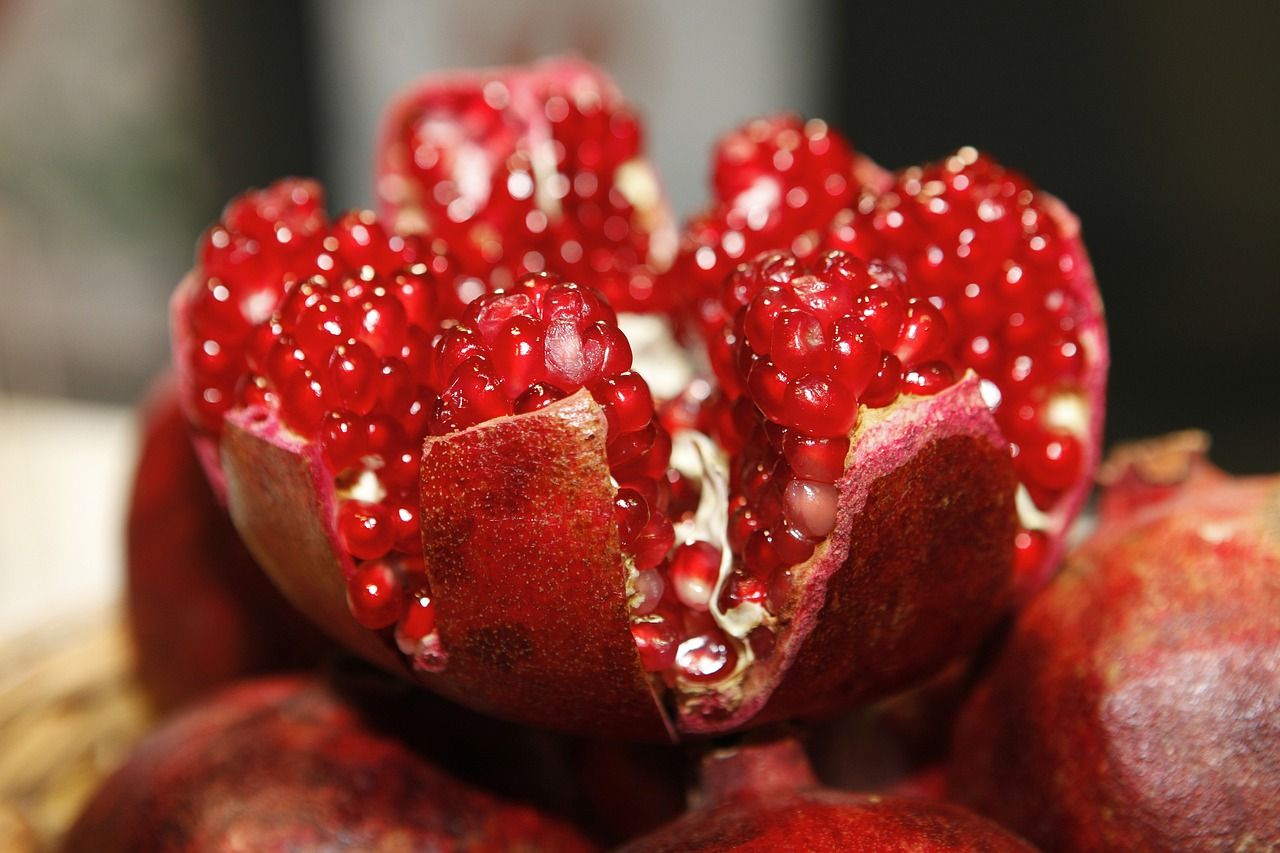 entdecken sie köstliche und gesunde snacks, die perfekt für zwischendurch sind. ideal für eine ausgewogene ernährung, bieten unsere snacks nahrhafte zutaten und unwiderstehlichen geschmack.