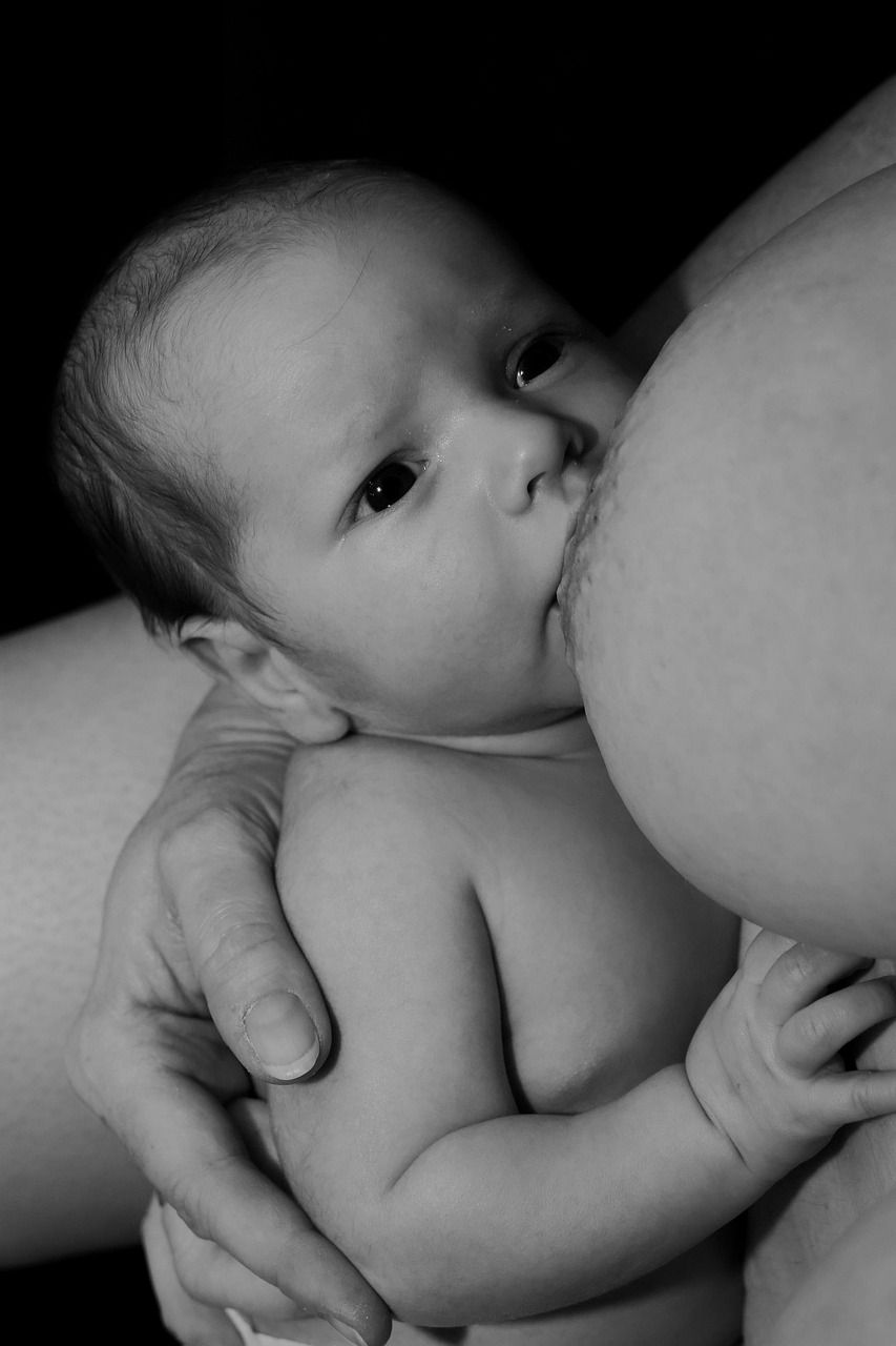 entdecken sie die vorteile des stillens für mütter und ihre babys. erfahren sie, wie sie erfolgreich stillen können und welche tipps ihnen dabei helfen, eine positive stillbeziehung aufzubauen.