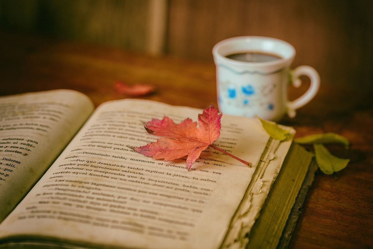 entdecken sie eine fesselnde auswahl an kinderbüchern, die die fantasie anregen und junge leser begeistern. von fantastischen abenteuern bis hin zu lehrreichen geschichten – unsere kollektion bietet für jeden geschmack etwas. perfekt zum vorlesen oder selbstlesen!