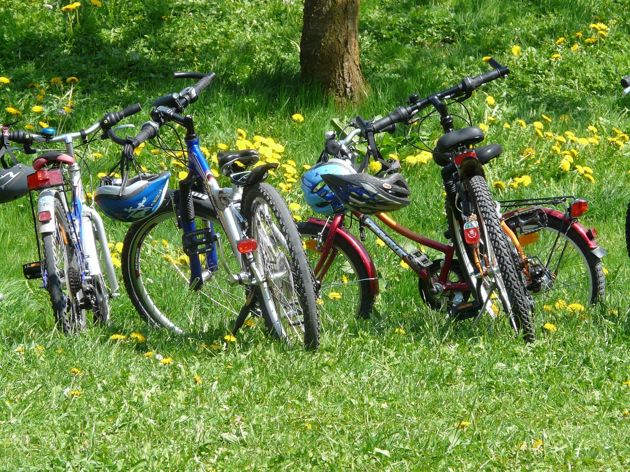 Familienausflüge: Die besten Tipps für unvergessliche Familientage