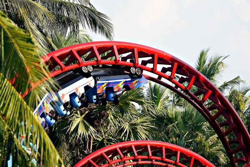 roller coaster
