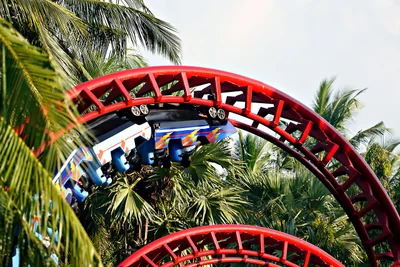 roller coaster