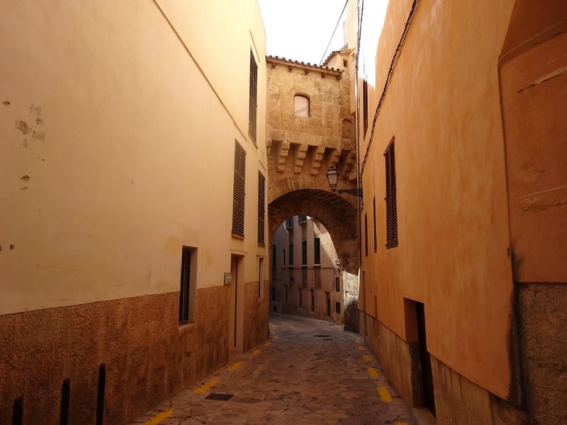 palma