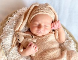 entdecken sie gesunde und schmackhafte babynahrung, die speziell für die bedürfnisse ihres babys entwickelt wurde. unsere produkte bieten eine ausgewogene ernährung und fördern das wachstum und die entwicklung ihres kindes.