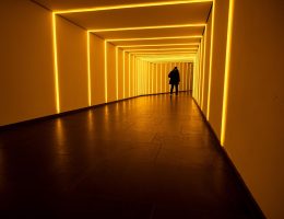 entdecken sie die vielfältige welt der beleuchtung. von dekorativen lampen bis hin zu energieeffizienten led-lösungen – finden sie die perfekte lichtquelle für ihr zuhause oder büro.