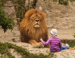 entdecken sie unsere hochwertigen spielmatten, die perfekten begleiter für kreatives spielen und lernen. ideal für kinder, bieten unsere matten komfort, sicherheit und eine bunte gestaltung für endlosen spaß.