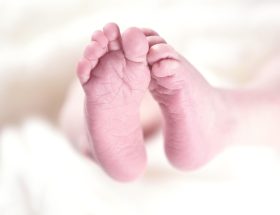 entdecken sie gesunde und leckere babynahrung für die wertvollsten monate im leben ihres kindes. unsere auswahl bietet nahrhafte, biologische und schmackhafte optionen, die perfekt auf die bedürfnisse ihres babys abgestimmt sind.