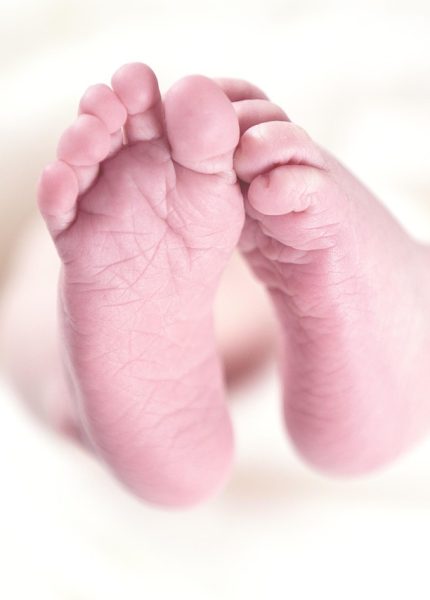 entdecken sie gesunde und leckere babynahrung für die wertvollsten monate im leben ihres kindes. unsere auswahl bietet nahrhafte, biologische und schmackhafte optionen, die perfekt auf die bedürfnisse ihres babys abgestimmt sind.