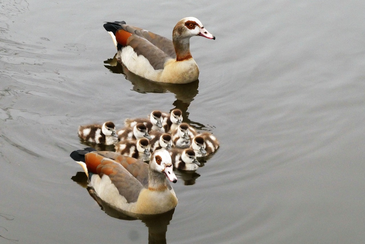 erhalten sie professionelle unterstützung und anleitung durch unsere familientherapie. stärken sie die beziehungen innerhalb ihrer familie, bewältigen sie konflikte und fördern sie eine harmonische kommunikation.