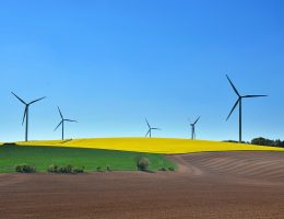 entdecken sie nachhaltige dekoration, die stil und umweltbewusstsein vereint. verschönern sie ihr zuhause mit umweltfreundlichen materialien und zeitlosen designs, die sowohl ästhetik als auch nachhaltigkeit fördern.
