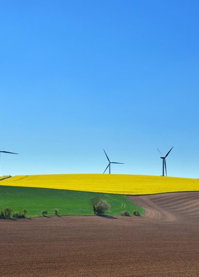 entdecken sie nachhaltige dekoration, die stil und umweltbewusstsein vereint. verschönern sie ihr zuhause mit umweltfreundlichen materialien und zeitlosen designs, die sowohl ästhetik als auch nachhaltigkeit fördern.