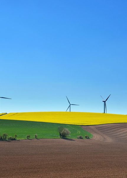 entdecken sie nachhaltige dekoration, die stil und umweltbewusstsein vereint. verschönern sie ihr zuhause mit umweltfreundlichen materialien und zeitlosen designs, die sowohl ästhetik als auch nachhaltigkeit fördern.