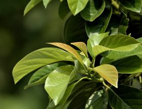 entdecken sie nachhaltiges wachstum - strategien und lösungen für eine umweltfreundliche entwicklung, die wirtschaft und ökologie in einklang bringt.
