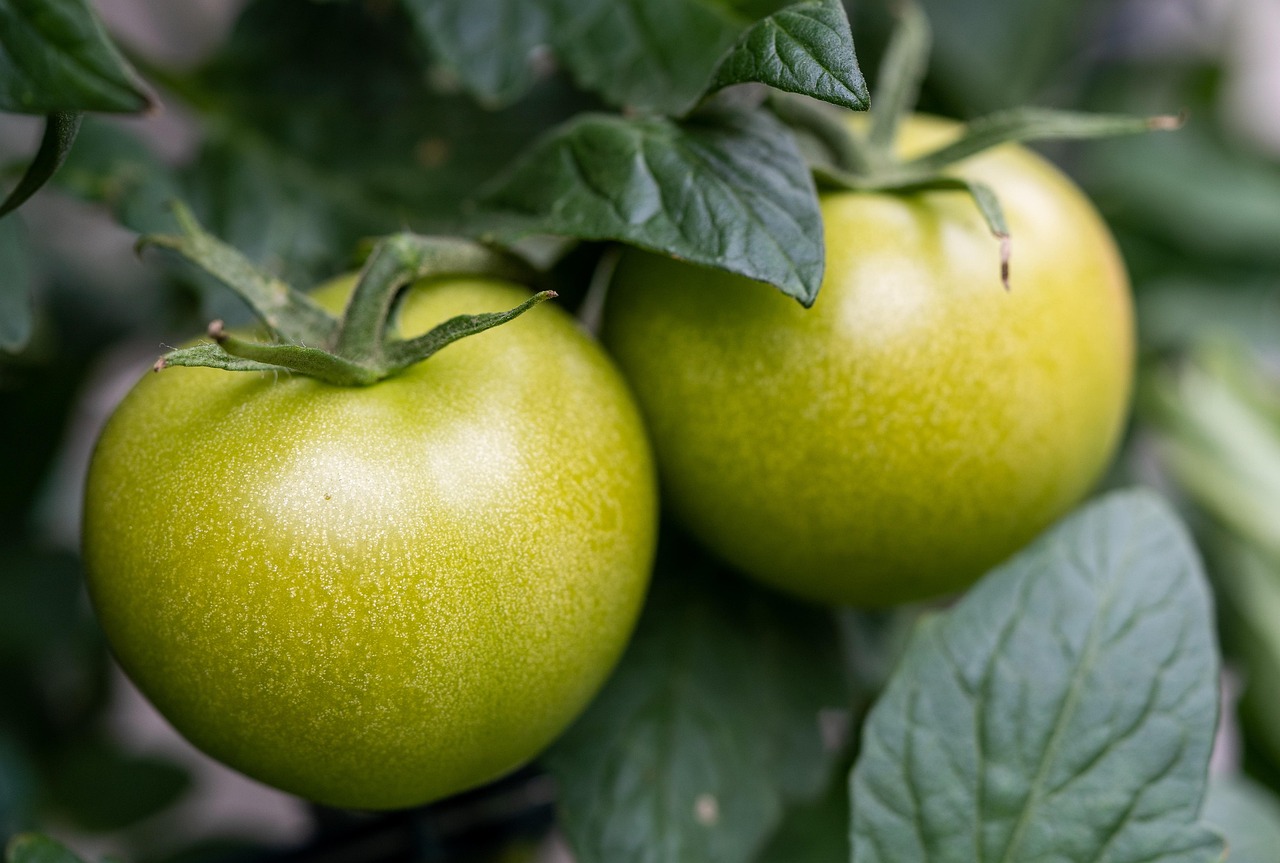 entdecken sie gesunde und schmackhafte kinderfreundliche mahlzeiten, die nicht nur lecker sind, sondern auch die wichtigsten nährstoffe für das wachstum ihres kindes liefern. ideen für einfache rezepte, die die ganze familie begeistern.