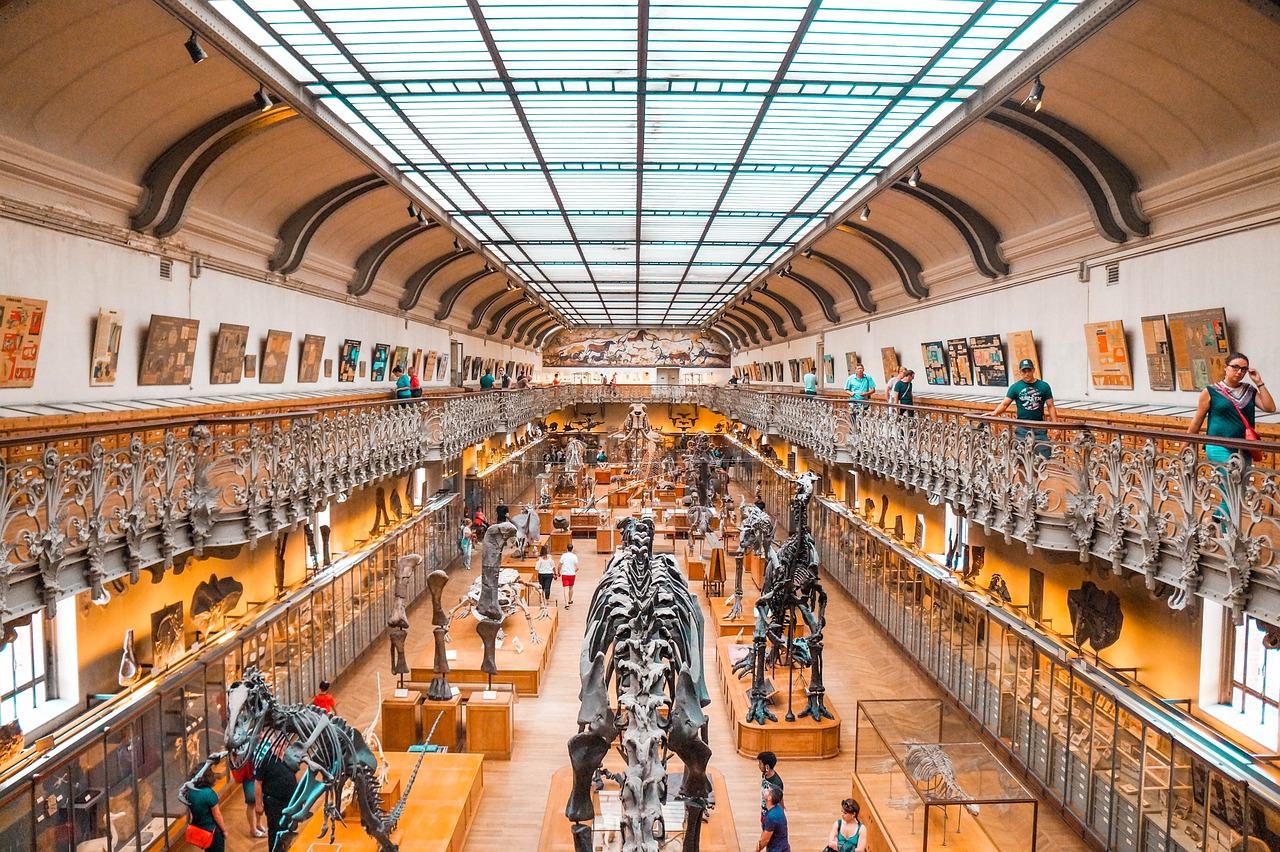 entdecken sie innovative bildungsansätze, die das lernen fördern und die entwicklung von fähigkeiten unterstützen. erfahren sie, wie verschiedene pädagogische methoden eingesetzt werden, um effektive lernumgebungen zu schaffen und das potenzial von schülern zu maximieren.