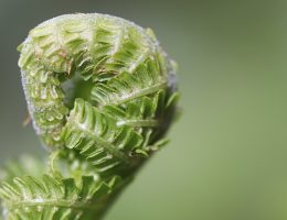 entdecken sie nützliche tipps, die ihnen helfen, ihre ziele zu erreichen und ihr leben zu verbessern. von alltagsratgebern bis hin zu speziellen ratschlägen, hier finden sie wertvolle informationen für jede situation.