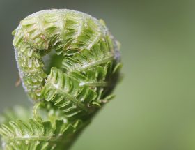 entdecken sie nützliche tipps, die ihnen helfen, ihre ziele zu erreichen und ihr leben zu verbessern. von alltagsratgebern bis hin zu speziellen ratschlägen, hier finden sie wertvolle informationen für jede situation.