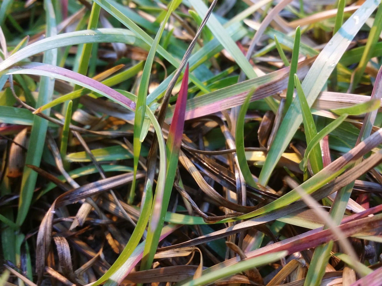 entdecken sie die verschiedenen arten von mängeln, ihre ursachen und auswirkungen auf gesundheit und umwelt. informieren sie sich über maßnahmen zur behebung und prävention von defiziten in verschiedenen bereichen.