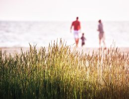 entdecken sie unvergessliche familienurlaube mit spannenden aktivitäten, entspannenden momenten und unvergesslichen erlebnissen für jeden. planen sie das perfekte abenteuer für die ganze familie!