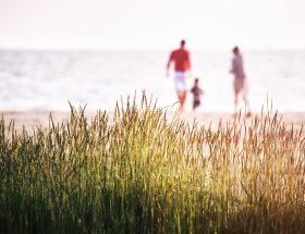 entdecken sie unvergessliche familienurlaube mit spannenden aktivitäten, entspannenden momenten und unvergesslichen erlebnissen für jeden. planen sie das perfekte abenteuer für die ganze familie!