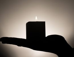 entdecken sie die besten wellness-angebote für entspannung und erholung. tauchen sie ein in eine welt voller ruhe, verwöhnangeboten und revitalisierender behandlungen für körper und geist.