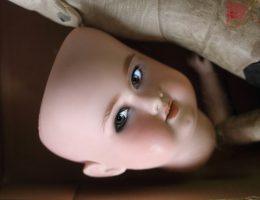 closeup photo of doll face